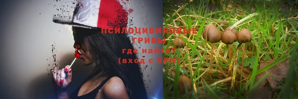 соль курить ск Михайлов