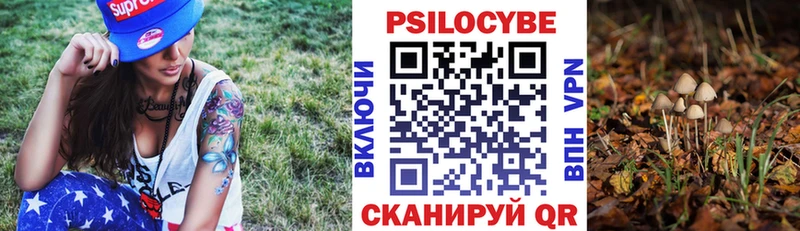 площадка официальный сайт  сколько стоит  Комсомольск-на-Амуре  Галлюциногенные грибы Cubensis 
