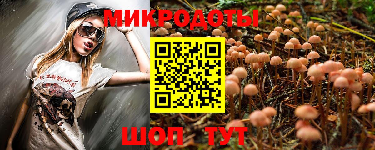 Псилоцибиновые грибы мицелий  купить   Комсомольск-на-Амуре  Вход с VPN 